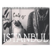 Katzen des ISTANBUL-Kalenders Kalender (Titelbild)