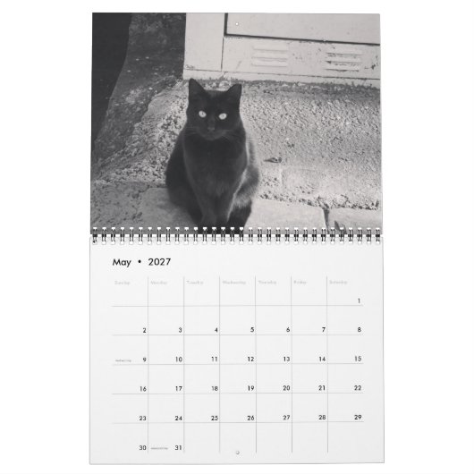 Katzen des ISTANBUL-Kalenders Kalender (Mai 2027)