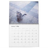 Katzen des ISTANBUL-Kalenders Kalender (Jan 2026)