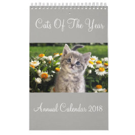 Katzen des Jahreskalenders 2018 Kalender
