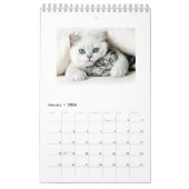 Katzen des Jahreskalenders 2018 Kalender (Jan 2026)