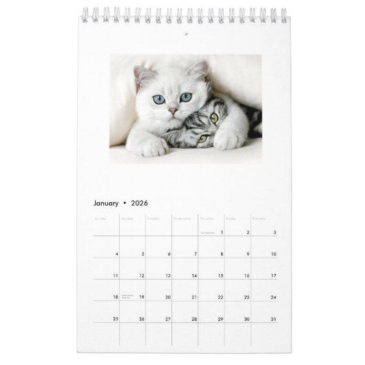 Katzen des Jahreskalenders 2018 Kalender (Jan 2026)