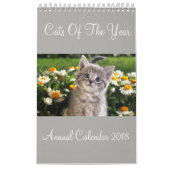 Katzen des Jahreskalenders 2018 Kalender (Titelbild)