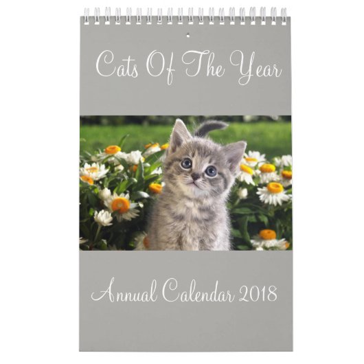 Katzen des Jahreskalenders 2018 Kalender (Titelbild)