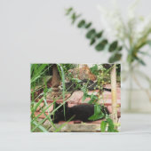 Katzen, die auf Brick Patio Foto liegen Postkarte (Stehend Vorderseite)