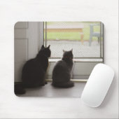 Katzen, die die Tür auf dem Bildschirm aussehen Mousepad (Mit Mouse)