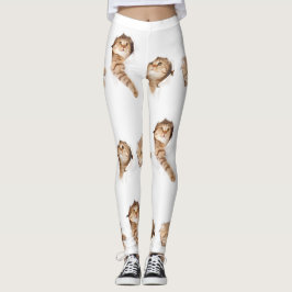Katzen, die ein Loch in Ihren Leggings zerreißen