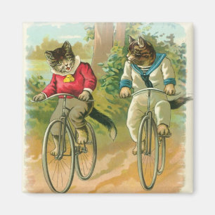Katzen, die Fahrrad fahren Magnet