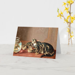 Katzen, die Fische in einer Fischschüssel beobacht Karte