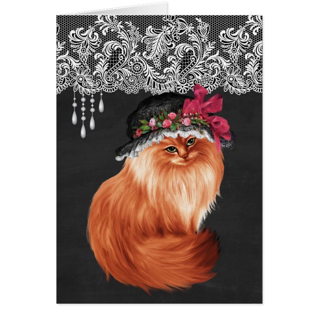 Katzen, die Hüte tragen (Vorne)