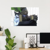 Katzen, die in einem Bananenbaum ruhen Poster (Heimbüro)