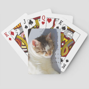 Katzen, die in einem Garten schlafen Spielkarten