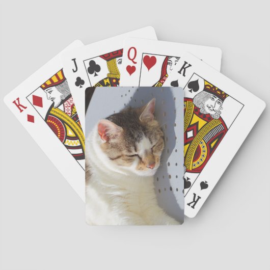Katzen, die in einem Garten schlafen Spielkarten (Rückseite)