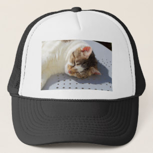 Katzen, die in einem Garten schlafen Truckerkappe
