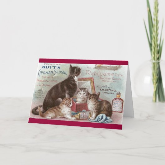 Katzen, die Kölnviktorianische Geschäftskarte Karte (Vorderseite)