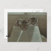Katzen, die mir beim Lesen von Postkarten helfen (Vorne/Hinten)