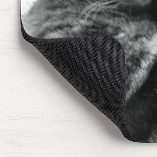 Katzen, die Mousepad streicheln (Ecke)