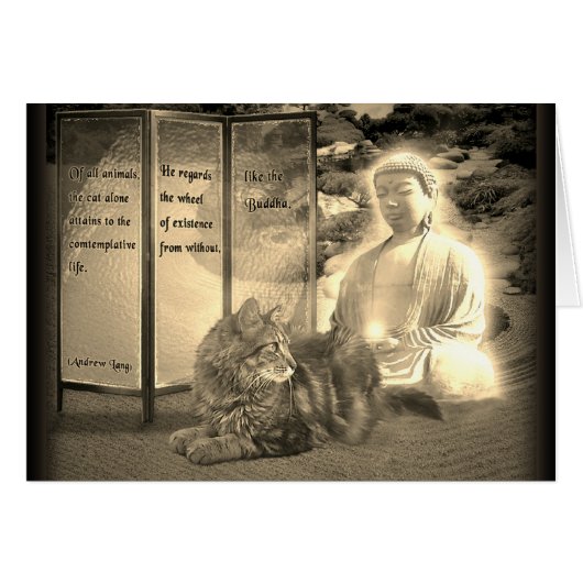 Katzen, die nachdenken wie Buddha (Vorderseite (Horizontal))