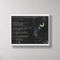 Katzen, die sterben, wünschen sich Leinwand