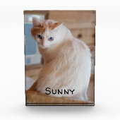 Katzen-Dogen-Vorname Vorlage Vertikal Fotoblock (Vorderseite)