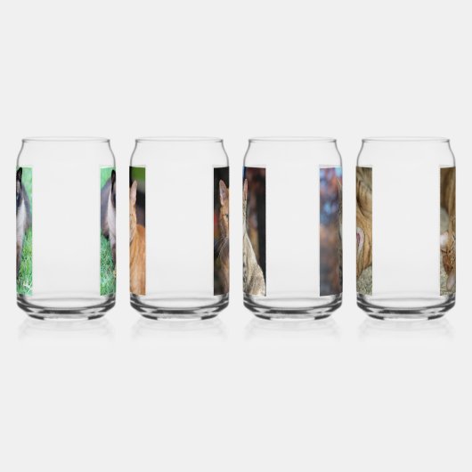 Katzen Dosenglas (Rechts)