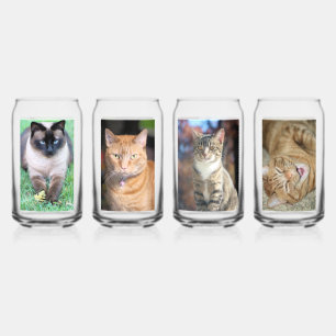 Katzen Dosenglas
