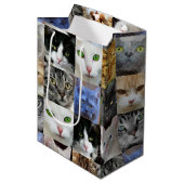 Katzen drucken Papiergeschenktaschen Mittlere Geschenktüte (Vorderseite Schrägansicht)