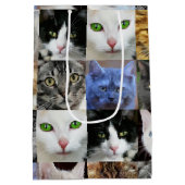Katzen drucken Papiergeschenktaschen Mittlere Geschenktüte (Rückseite)