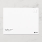 Katzen Echte Einstellung Funny Postcard Postkarte (Rückseite)