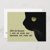 Katzen Echte Einstellung Funny Postcard Postkarte (Vorne/Hinten)