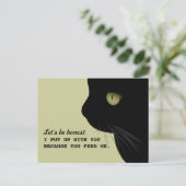 Katzen Echte Einstellung Funny Postcard Postkarte (Stehend Vorderseite)