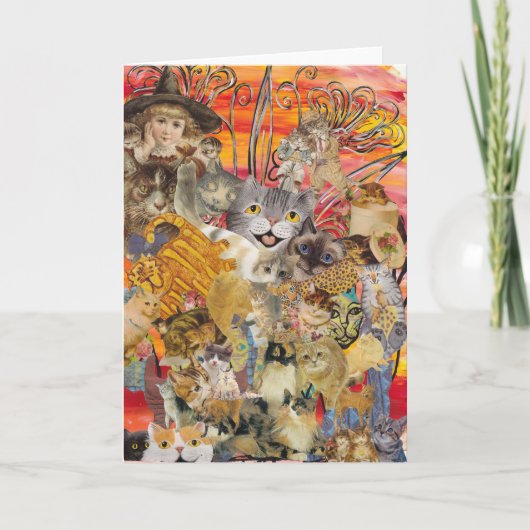 Katzen eine große Grußkarte Karte (Vorderseite)