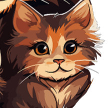 Katzen-Einladungsdesign