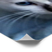 Katzen entspannen poster (Ecke)