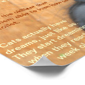 Katzen Fakten! Poster (Ecke)