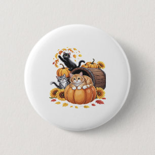 Katzen fallen Herbstpumpen Erntedank Sonnenblume O Button