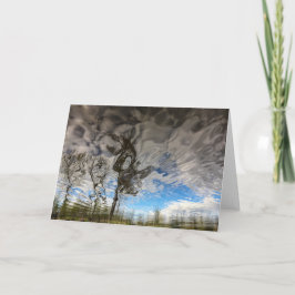 Katzen-Felsen-Baum-leere Karte