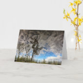 Katzen-Felsen-Baum-leere Karte (Gelbe Blume)