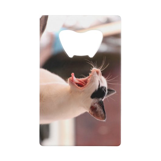 Katzen-Flaschen-Öffner Geldbeutel Flaschenöffner (Vorderseite)