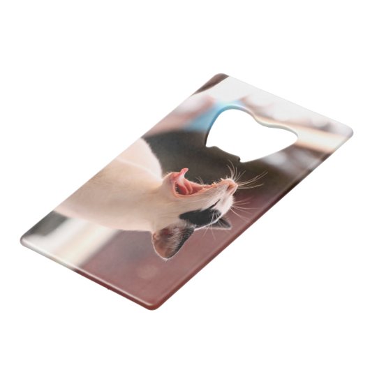 Katzen-Flaschen-Öffner Geldbeutel Flaschenöffner (Vorderseite Schrägansicht)