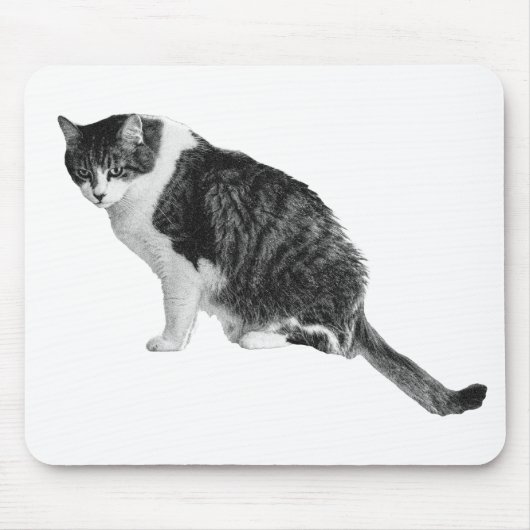 Katzen-Fokus-Mauspad unterstützt ruhigen Arbeitsal Mousepad (Vorne)