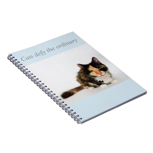 "Katzen fordern das gewöhnliche" Phoebe Notizbuch Notizblock (Rechte Seite)