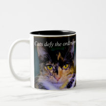 "Katzen fordern die gewöhnliche" Kaffee-Tasse