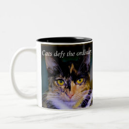 "Katzen fordern die gewöhnliche" Kaffee-Tasse Zweifarbige Tasse