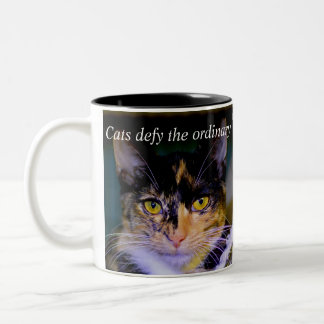 "Katzen fordern die gewöhnliche" Kaffee-Tasse Zweifarbige Tasse