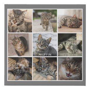 Katzen-Foto Collage Grau Personalisiert Künstlicher Leinwanddruck