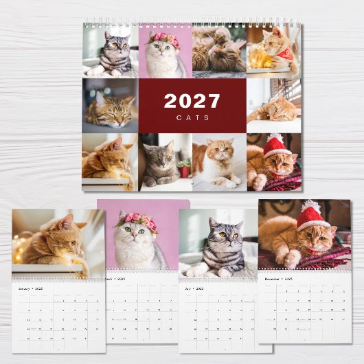 Katzen-Foto-Collage Moderne 2025 Kalender