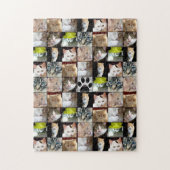Katzen-Foto-Collage Puzzle (Vertikal)