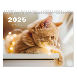 Katzen Foto Moderner Kalender 2025