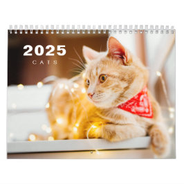 Katzen Foto Moderner Kalender 2025